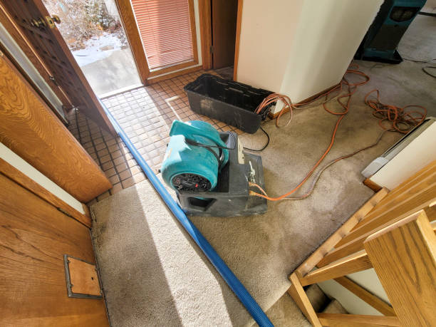 Best Water damage mitigation services  in Macon, IL
